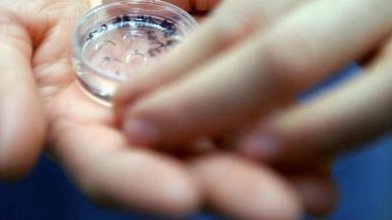 双参炖鸽子治疗不孕不育吗（双参炖鸽子治疗不孕不育吗有效果吗）