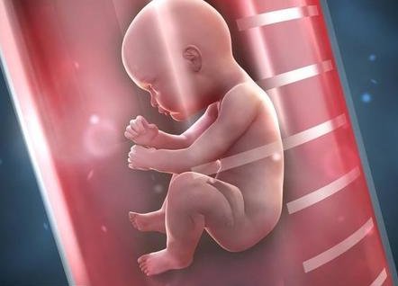 永安到美国做试管婴儿要花多少钱，成功率高吗？