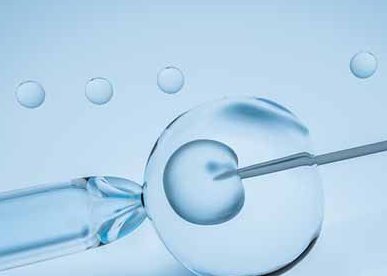 体外培养第三天的6细胞三级胚胎送去养囊能成功吗？