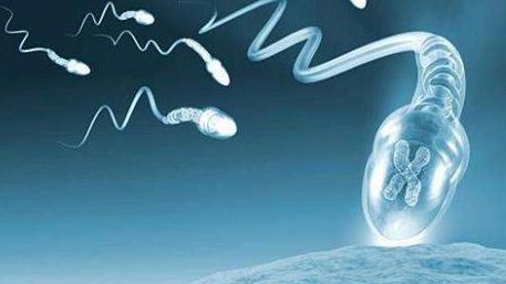 宜昌不孕不育医院排名榜单参考，主要还是看医院治疗环境