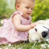 子宫纵隔生育困难可以在中卫市做三代试管吗？子宫有问题做试管的成功率高吗？