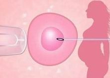 冻胚移植要注意什么着床成功率才高？