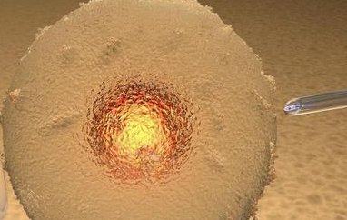 尿道炎试管婴儿（尿道炎会影响试管婴儿着床吗？）