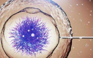 三代试管pgd筛查全军覆没可能性高不高？