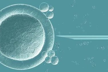 深圳哪家试管婴儿中介机构好？